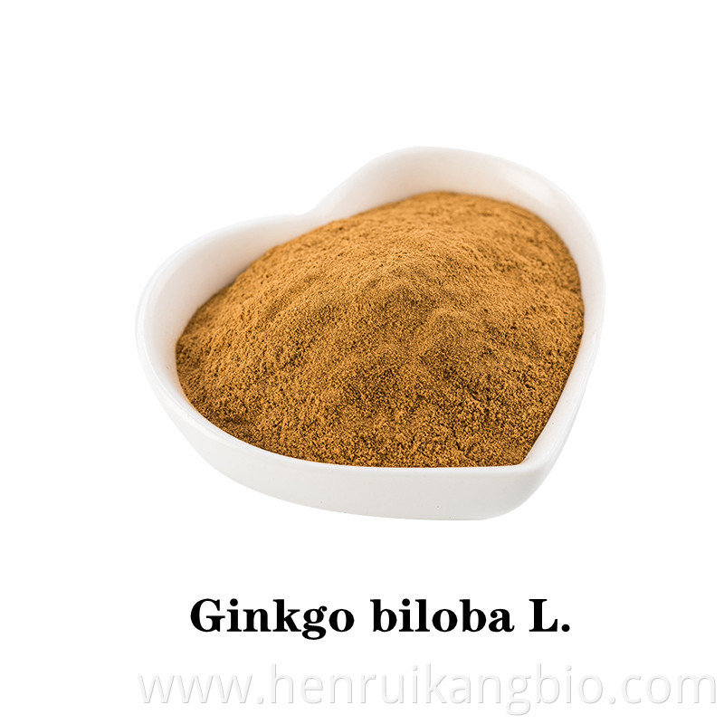 Ginkgo biloba L. powder